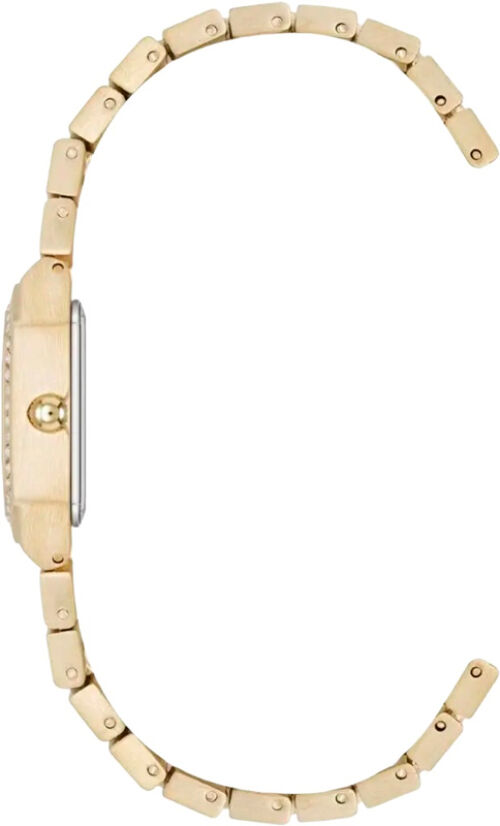 Anne Klein AK/5360GMGB