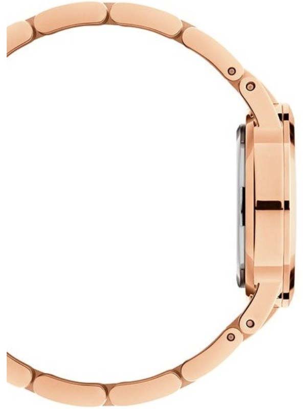 Daniel Wellington DW00100210 Daniel Wellington DW00100210