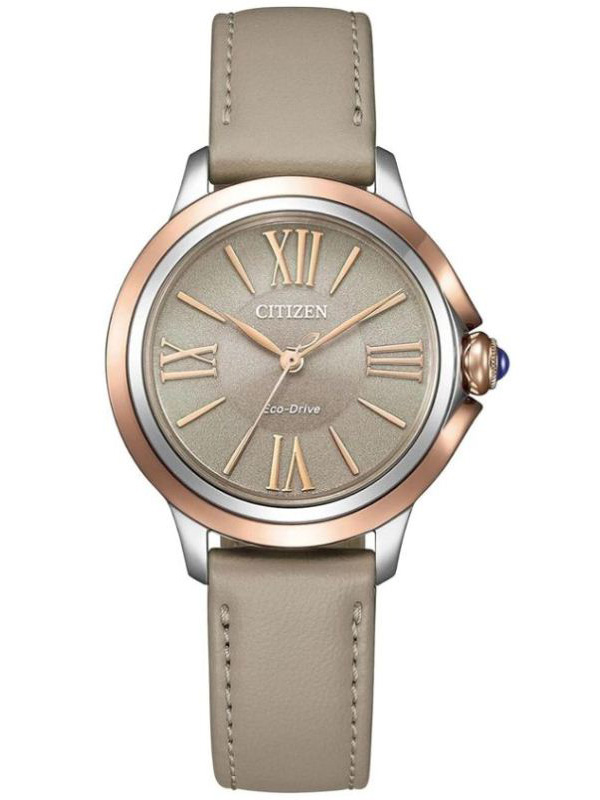 CITIZEN  EM1166-01Z