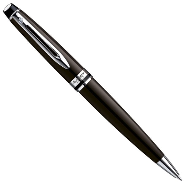 Waterman EXPERT  Deep Brown  CT  BP