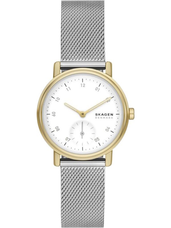 SKAGEN SKW3101