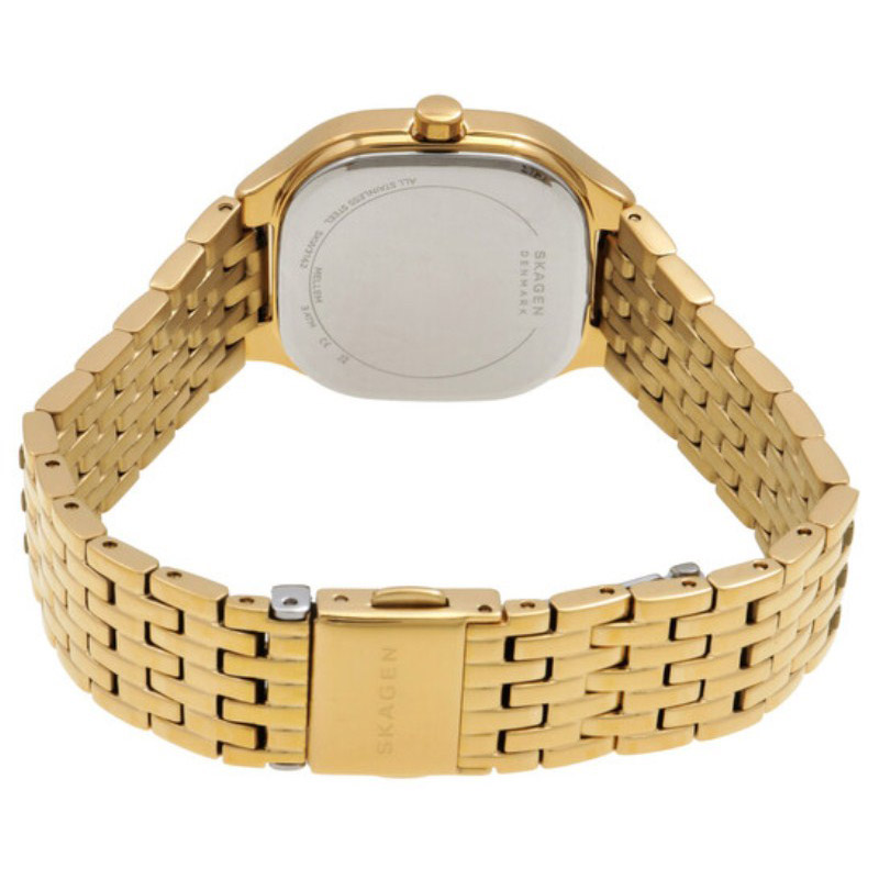 SKAGEN SKW3162 SKAGEN SKW3162