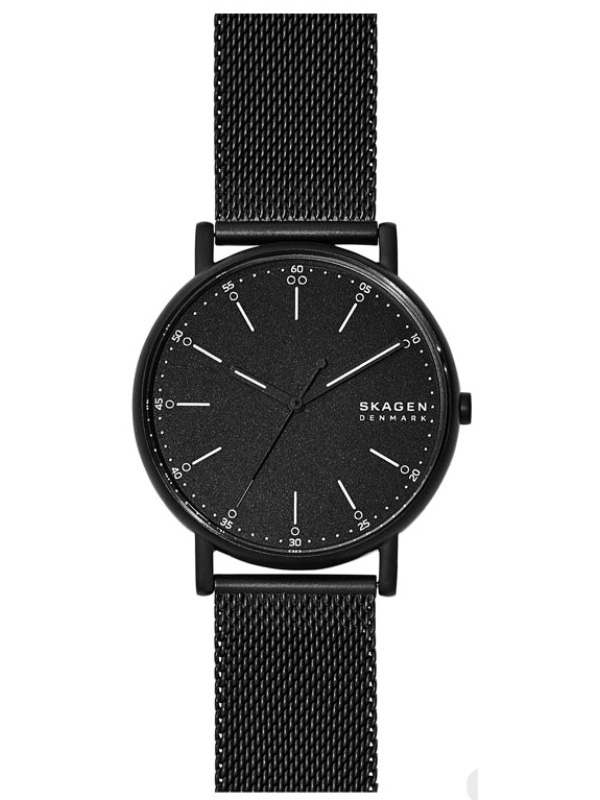 SKAGEN SKW6579